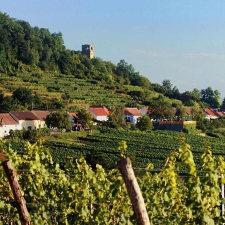 朗根罗伊斯Prabatsch-Aichinger Winzergut公寓 外观 照片