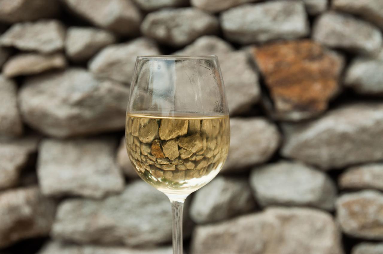 朗根罗伊斯Prabatsch-Aichinger Winzergut公寓 外观 照片