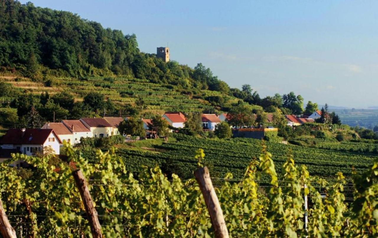 朗根罗伊斯Prabatsch-Aichinger Winzergut公寓 外观 照片